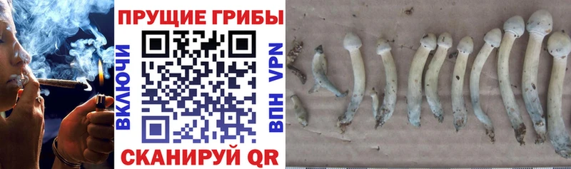 Галлюциногенные грибы GOLDEN TEACHER  Электроугли 